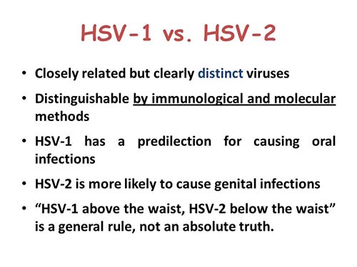 What is the difference between HSV1 & HSV2